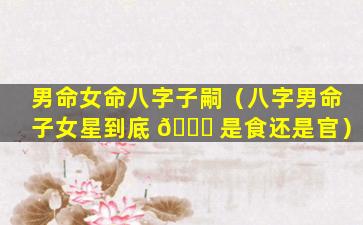 男命女命八字子嗣（八字男命子女星到底 🐈 是食还是官）